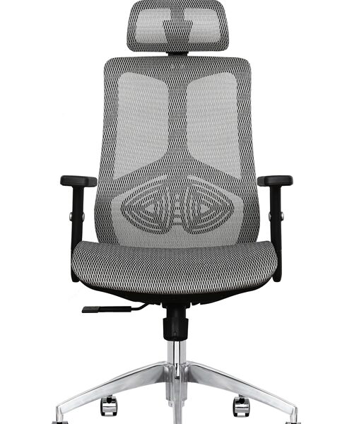 best ergonomic office chair with lumbar and neck support