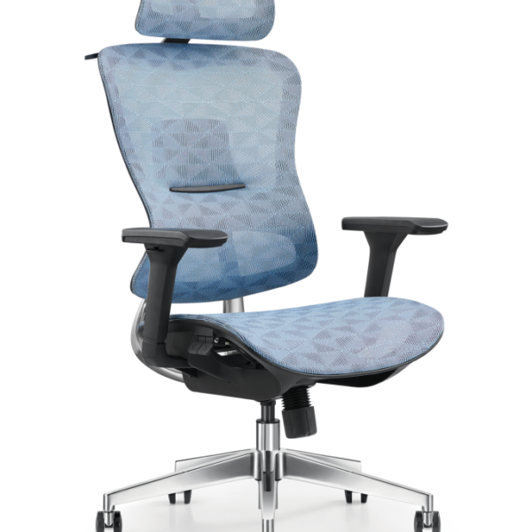 best orthopedic office chair for back pain - Blue